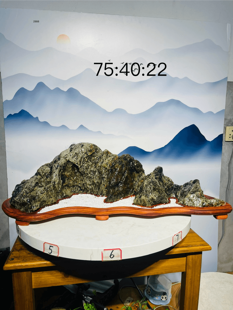 【精品福建九龙壁切底山】假山大型自然观赏石景观石尺寸75-40-22