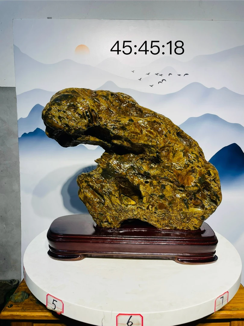精品九龙壁奇石原石大型自然石观赏石景观石头家摆件尺寸45-45-18