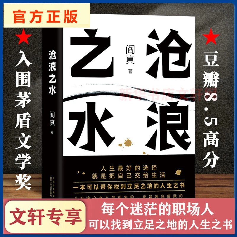 正版包邮】沧浪之水 阎真 经典官场小说 现当代小说 阎真活着