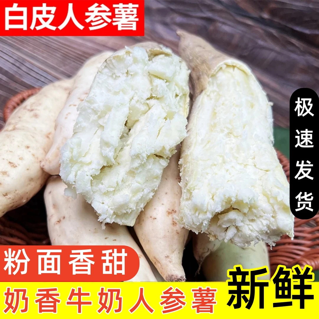 【坏果包赔】牛奶人参薯干面甜粉糯新鲜现挖板栗薯地瓜2-9斤包邮