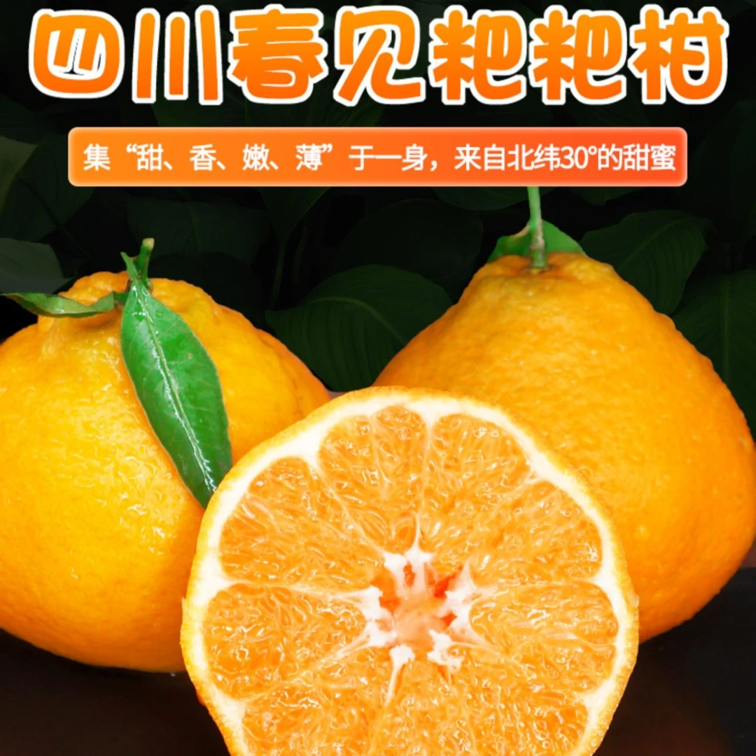 【脆甜爆汁】四川春见耙耙柑丑橘不知火橘子当季新鲜水果4-8斤