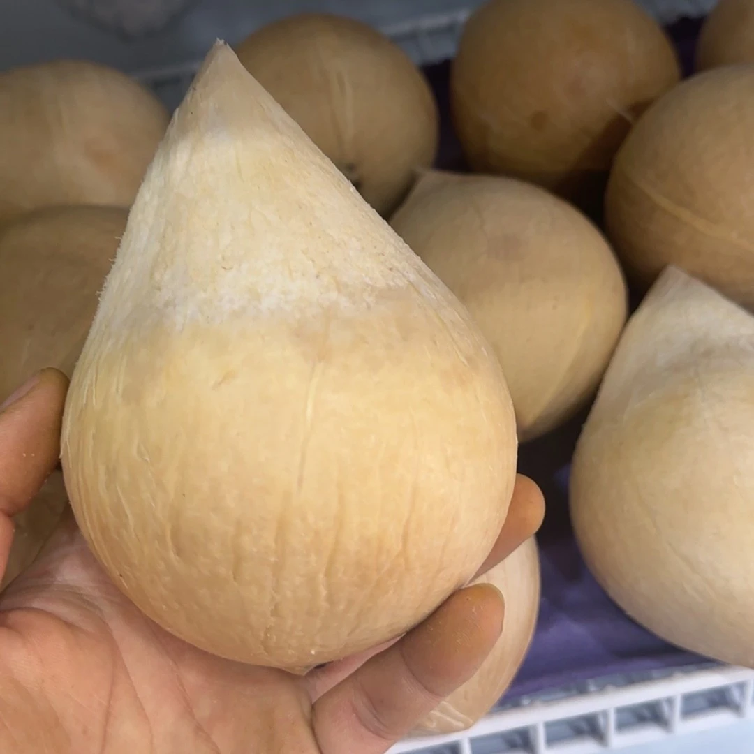 泰国牛奶椰皇椰青鲜果 15元2个1000g  补充电解制汁水甘甜 哈尔滨同城小时达