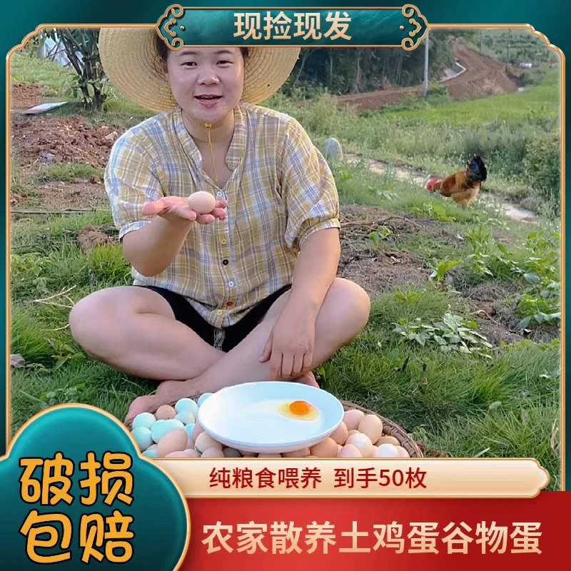 买40枚送10枚到手50枚放养粉壳鸡蛋破损包赔50枚/2000g