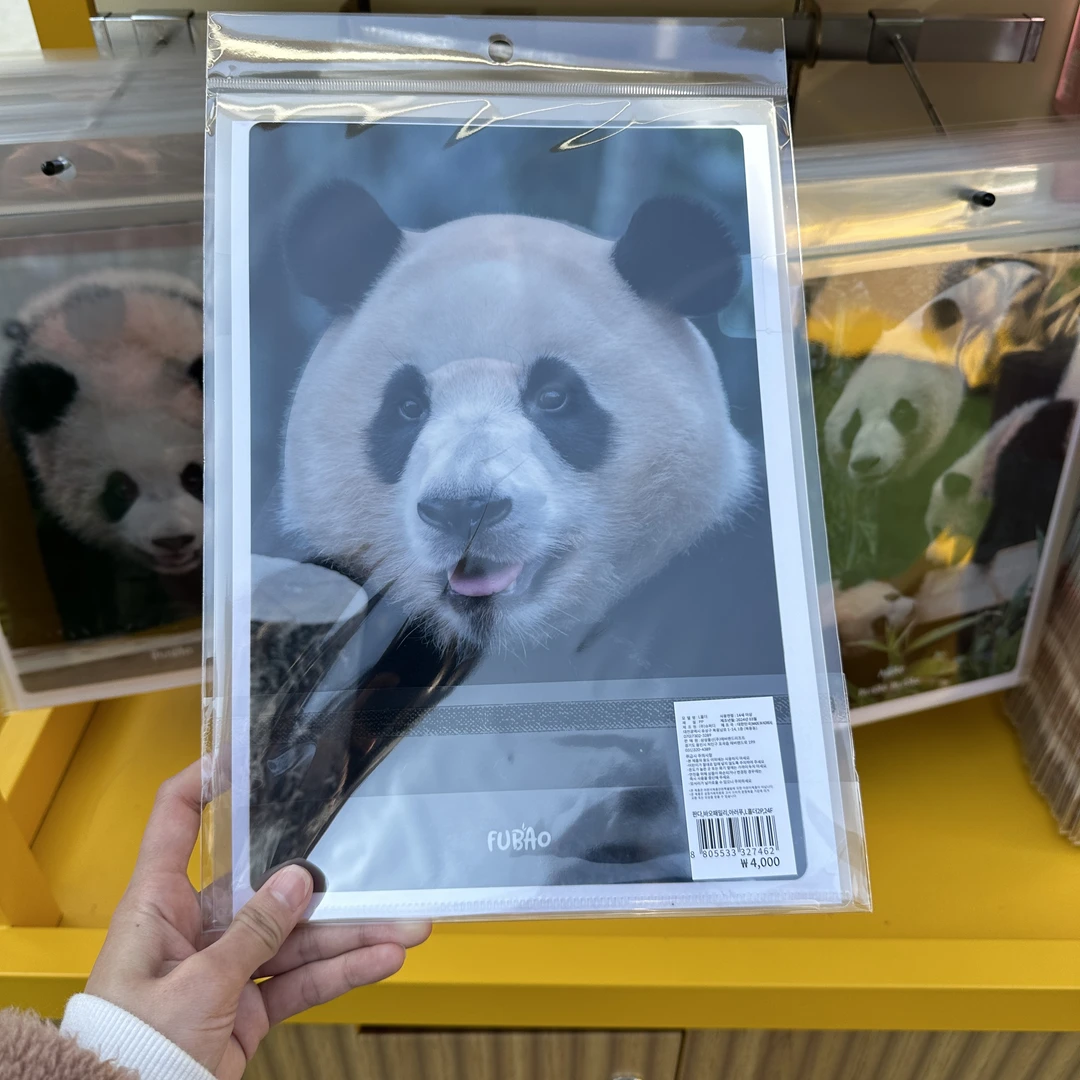 福宝周边宝家族新款福宝文件夹2入熊猫