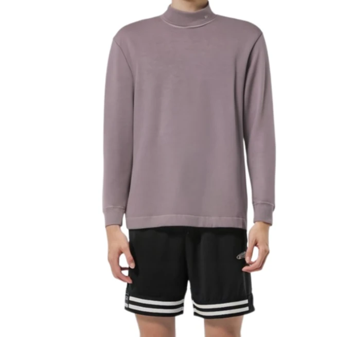 全新未使用 DIOR/迪奥 男士紫色小高领领口logo长袖T恤百搭114253
