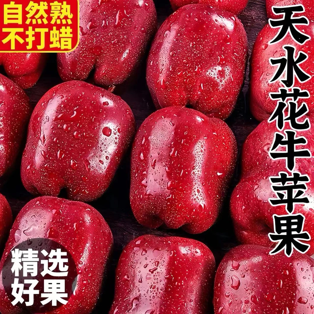 【坏果包赔】甘肃天水花牛苹果新鲜采摘带箱3斤单果65-75mmYIW