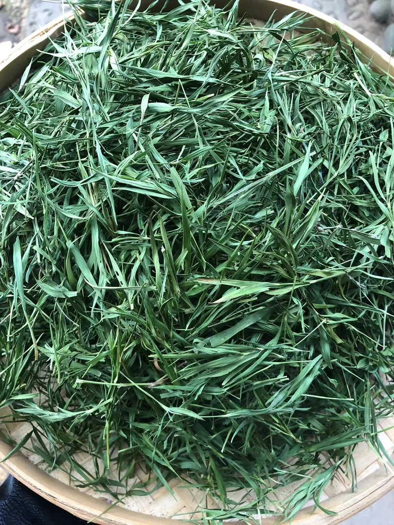 A【土特产】雪-域-冰-竹 净含量250g-500g