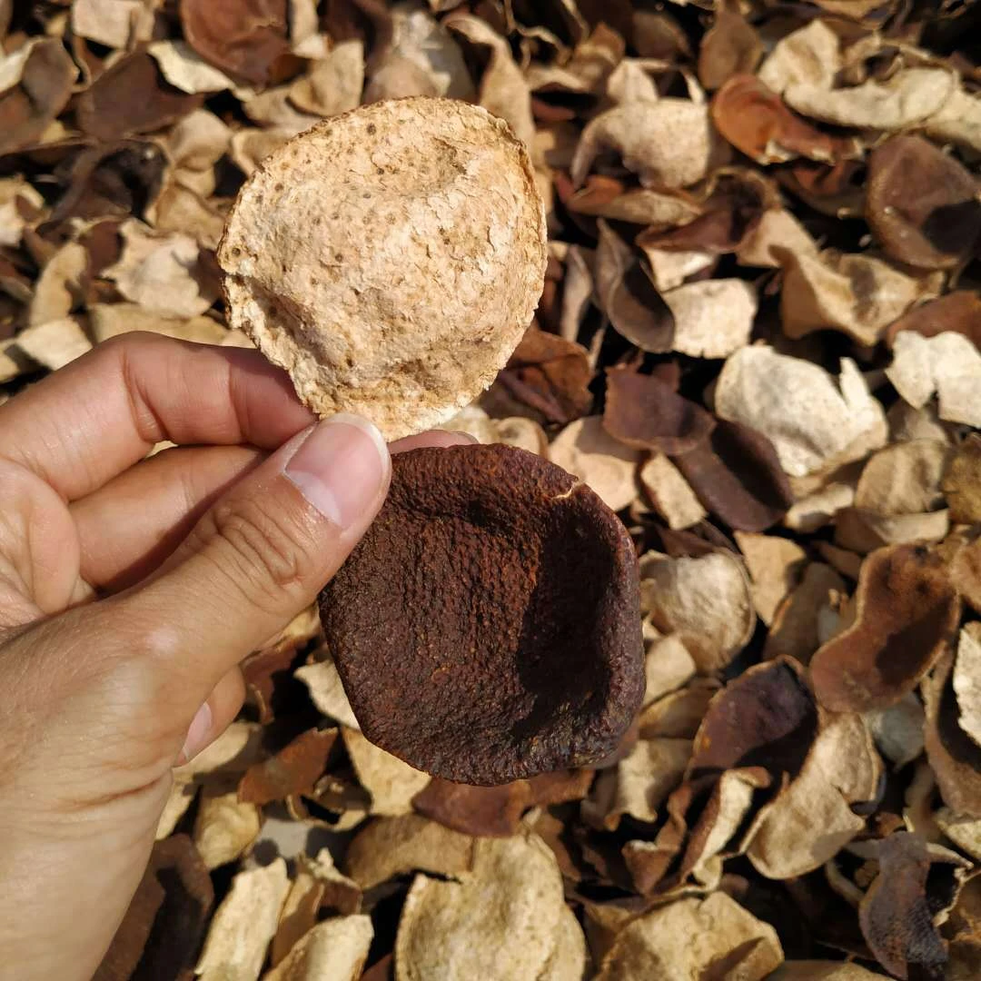 [开心精选]陈皮 大红皮(GC)