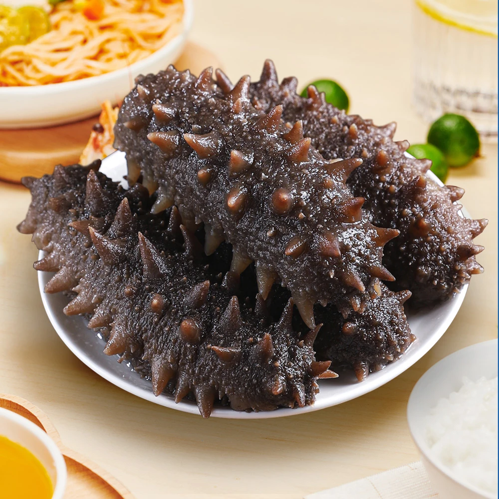 【鲜食海参】大连正宗辽刺参好吃新鲜营养品质1斤