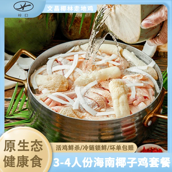 【海南椰子鸡】海南椰子鸡3-4人份方便菜正宗文昌散养走地鸡