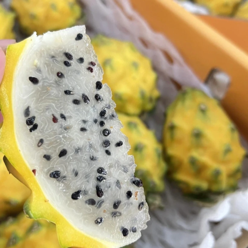 精品燕窝果 30元/个