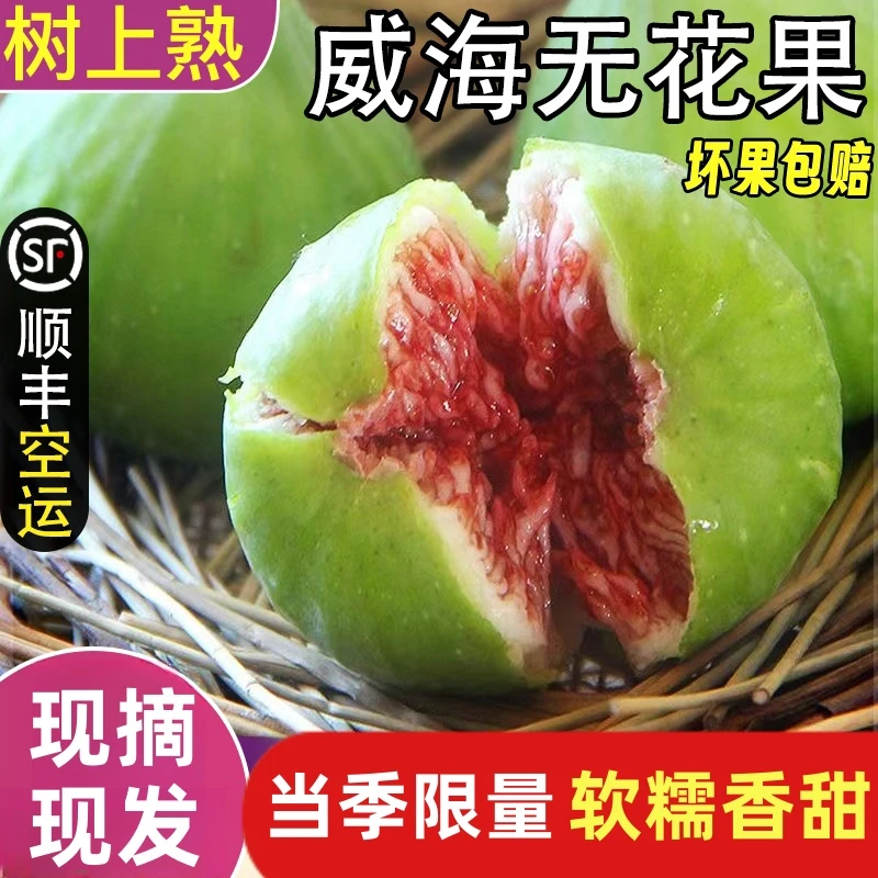 顺丰空运无花果新鲜威海特产青皮无花果鲜果大果孕妇现摘新鲜水果