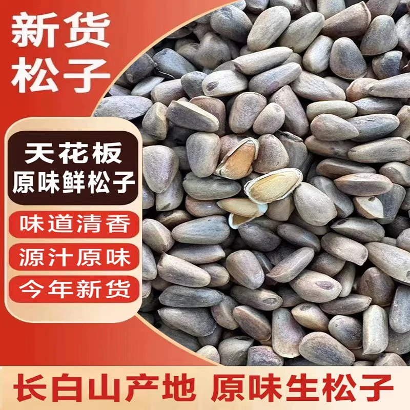 2024年长白山野生生松子大颗粒不开口原汁原味