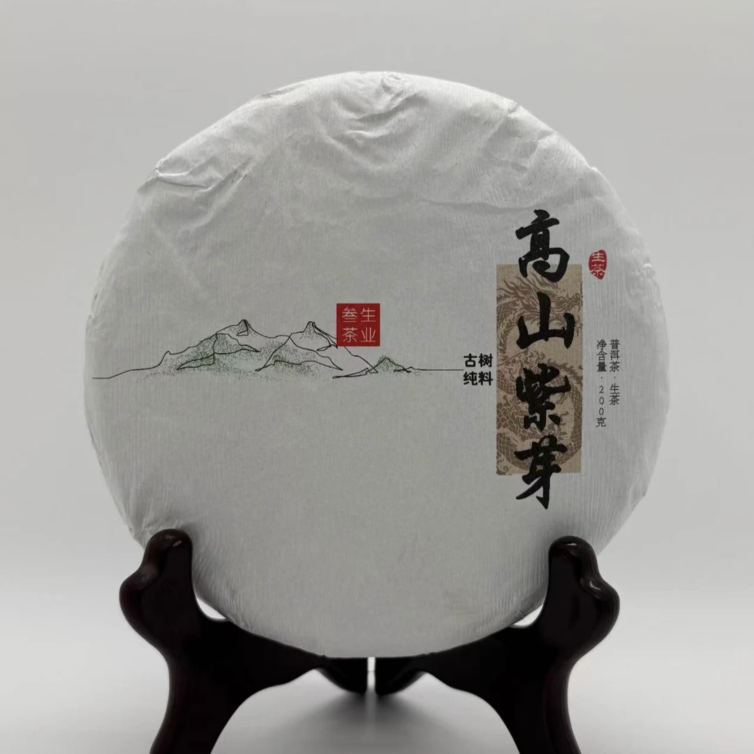 24年紫芽高山头春古树普洱生茶