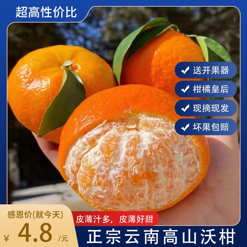 【现货现发】沃柑jiayuan云南高山玉溪优选新鲜皮薄爆汁水果5斤/9斤