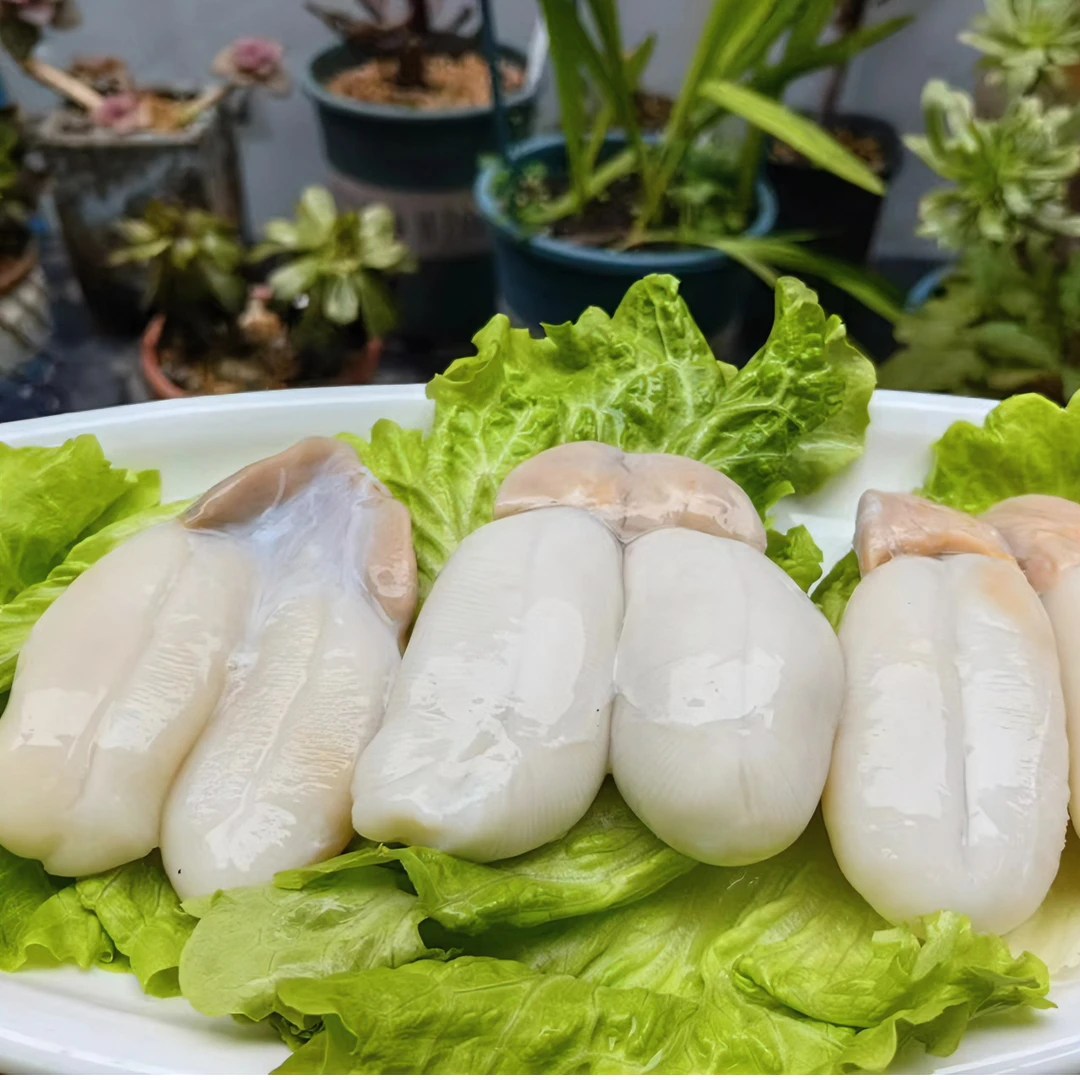 俞小鱼的鱼全淡大墨鱼蛋舟山大白蛋目鱼乌贼蛋鱿鱼蛋1-3斤冷冻发