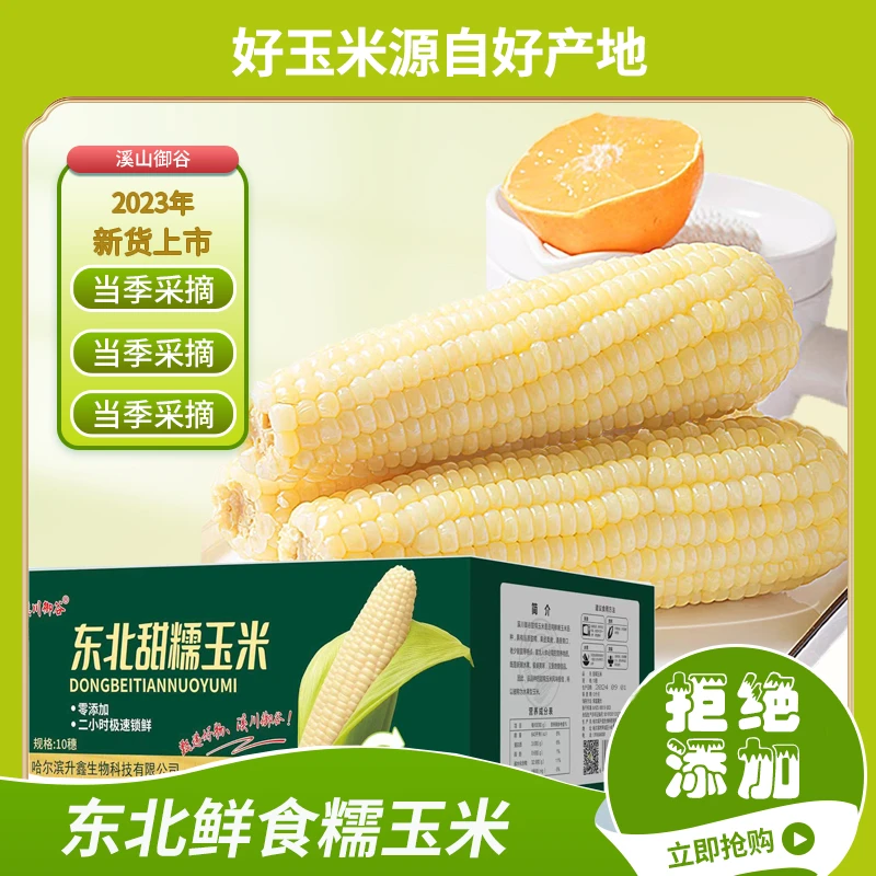 东北甜糯鲜食玉米
