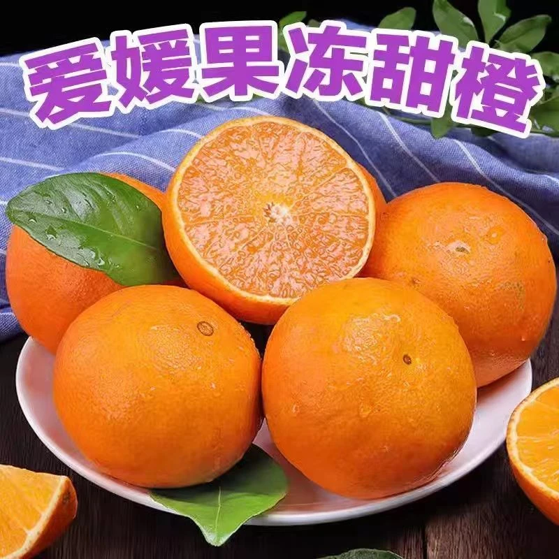 【果冻口感】四川爱媛果冻橙香甜可口多汁新鲜采摘产地直发5斤带箱