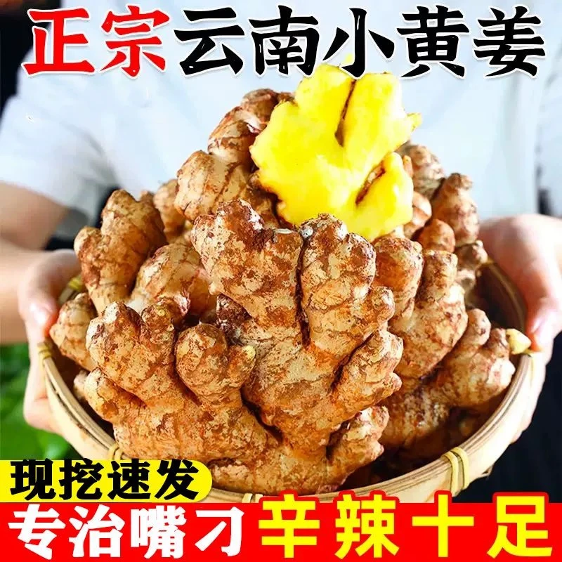 【美丽大山】云南高山老姜沙姜黄姜辣味十足0.5-9斤小黄姜产地直