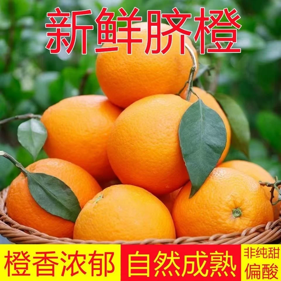 正宗高山纽荷尔脐橙带箱9-10斤新鲜水果香甜多汁皮薄肉厚橙子