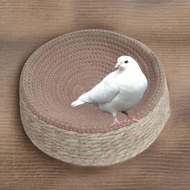 蒲草棉线鸽子窝肉鸽信鸽赛鸽四季通用窝草窝处理下蛋抱窝保暖编