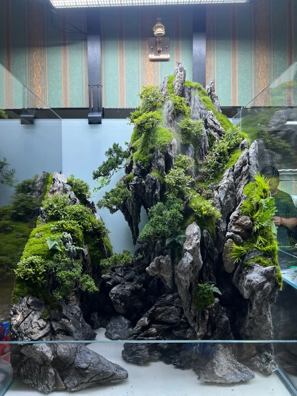 粗枝二号苔藓花3张30*20尺寸