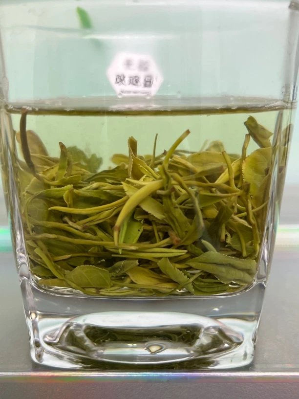 紫阳2025年茶 绿茶 好喝，耐泡香浓味浓