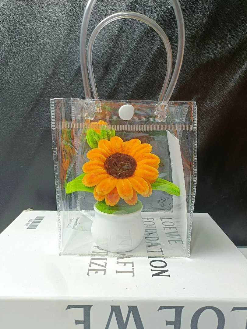 教师节现货网红小盆栽透明手提袋（备注：只有六个手提袋）