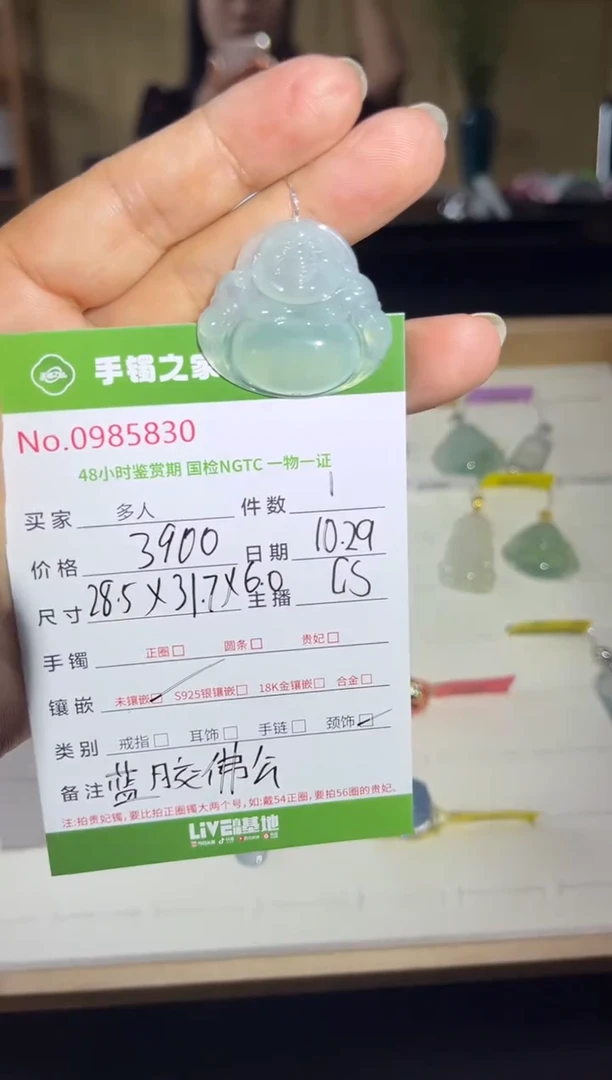 【闪购商品】翡翠颈饰未镶嵌多人