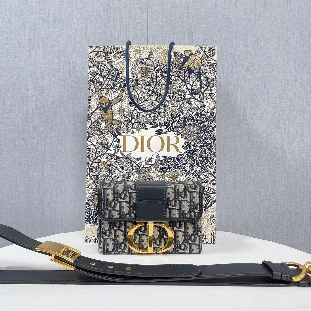99新 DIOR/迪奥 迪奥/Dior  蓝色老花 蒙田box盒子包