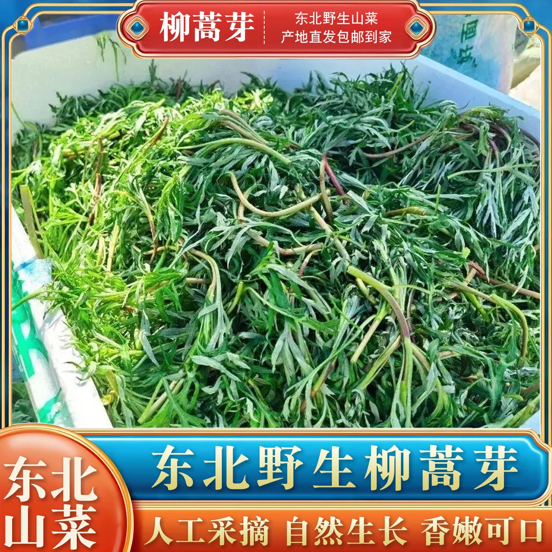 柳蒿芽水煮好的柳蒿芽山野菜拌菜新鲜野菜柳蒿芽山菜手工山菜绿色