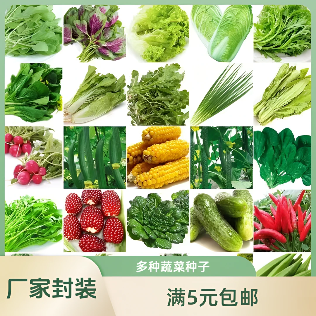 【满5元包邮】30款原厂彩包四季播种蔬菜种子青菜香菜生菜黄瓜香葱