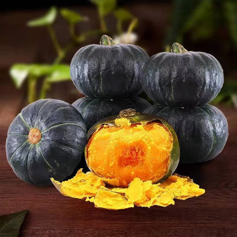 绿贝贝南瓜种子板栗小南瓜种籽新品种甜香糯高产早熟春秋蔬菜种子