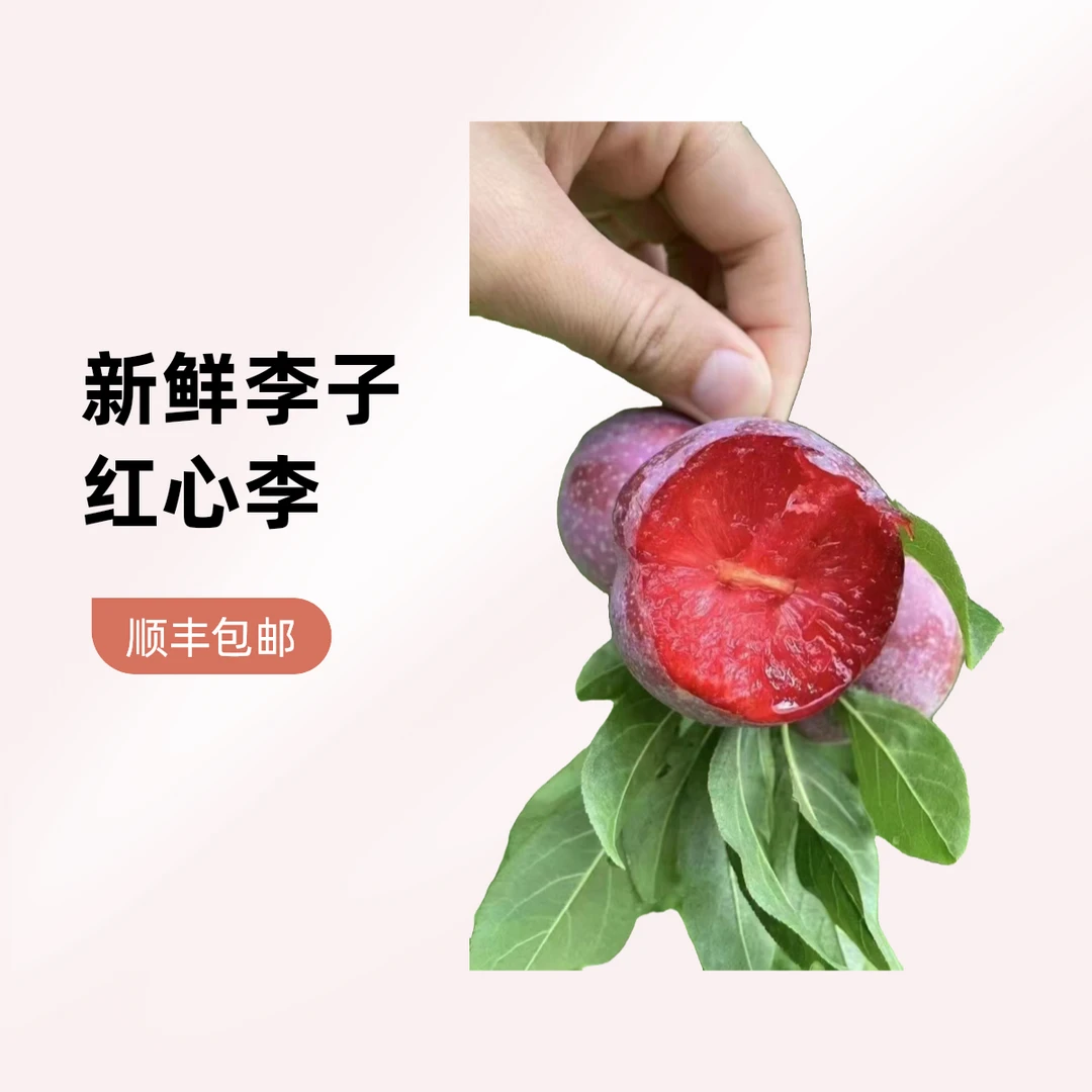 【顺丰包邮】信宜钱排镇新鲜采摘正宗银妃三华李红心李/2斤/3斤5斤
