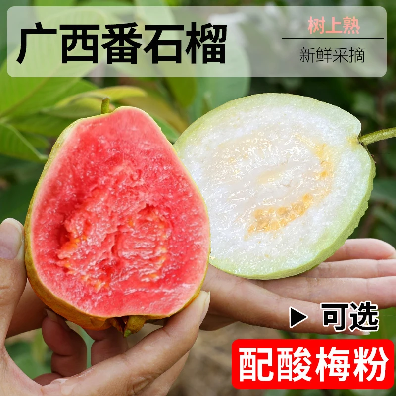 广西红/百心芭乐3/5斤整箱新鲜番石榴当季水果胭脂红肉芭乐包邮