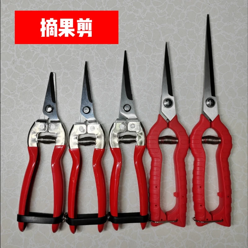 多功能摘果剪尖头果园果树修枝剪园艺剪刀葡萄剪树枝剪刀荔枝采摘