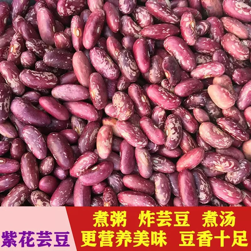 紫花芸豆精选红饭豆农家花腰豆 红花芸豆四季豆红花豆杂粮特产