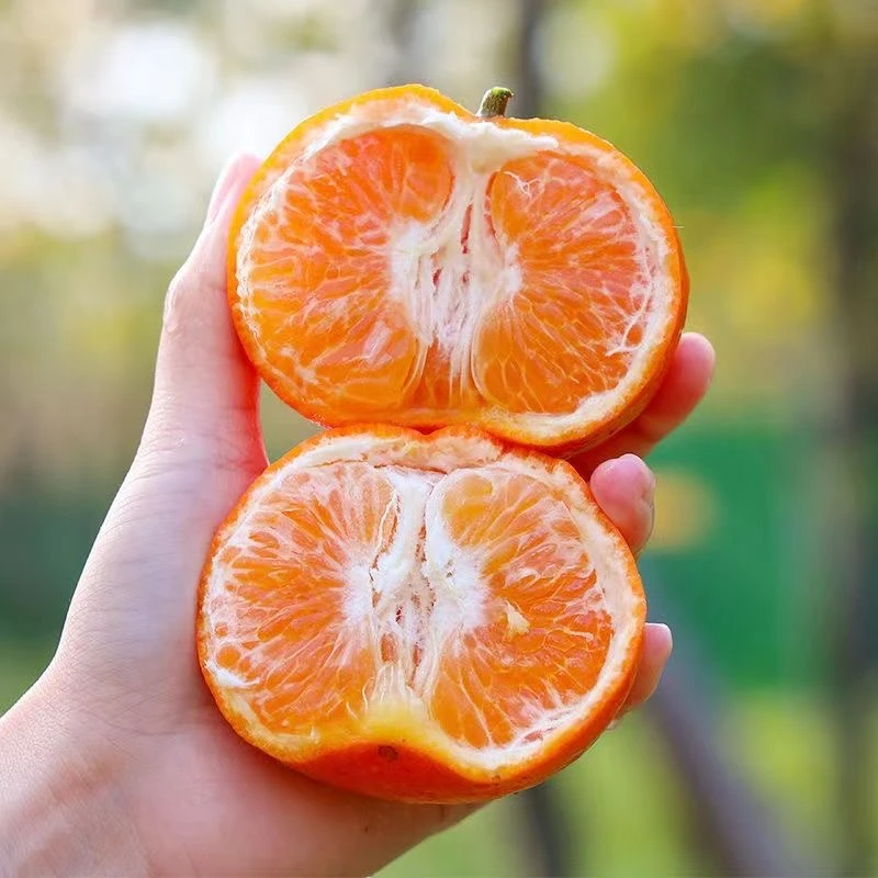 广西武鸣沃柑3-8斤 新鲜水果当季整箱薄皮多汁新鲜清甜树上熟脆甜