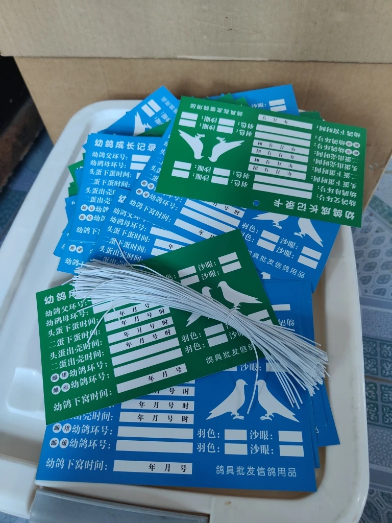 幼鸽成长  记录卡