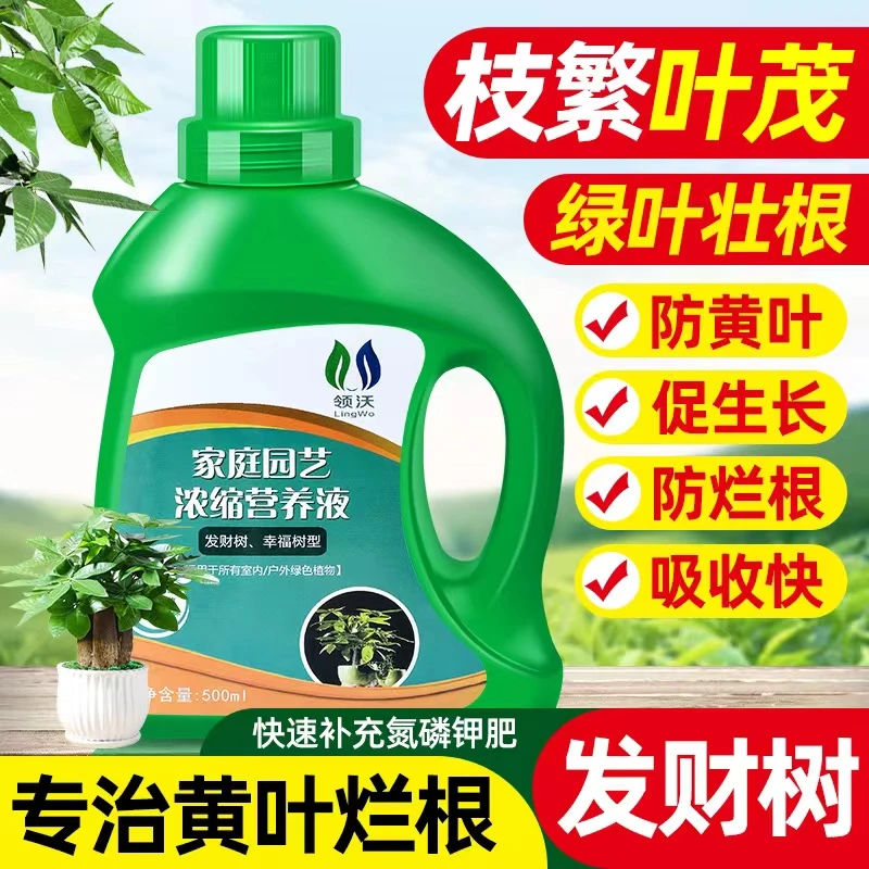 发财树专用植物营养液水培室内盆栽植物花肥金钱树招财树通用肥料