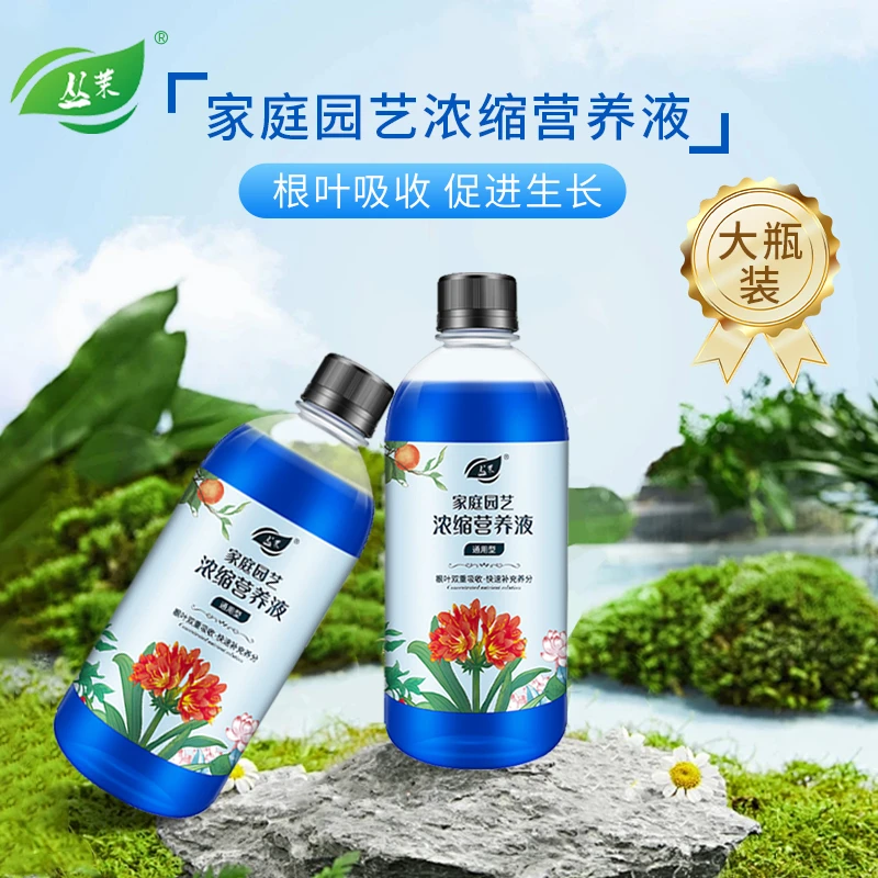 丛茉家庭园艺浓缩营养液花卉绿植土培水培植物通用改善植物黄叶