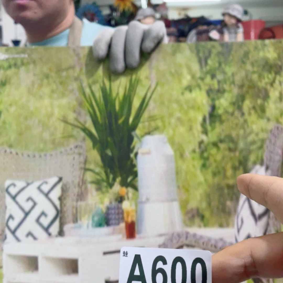 红陶蛙哥庭院中古