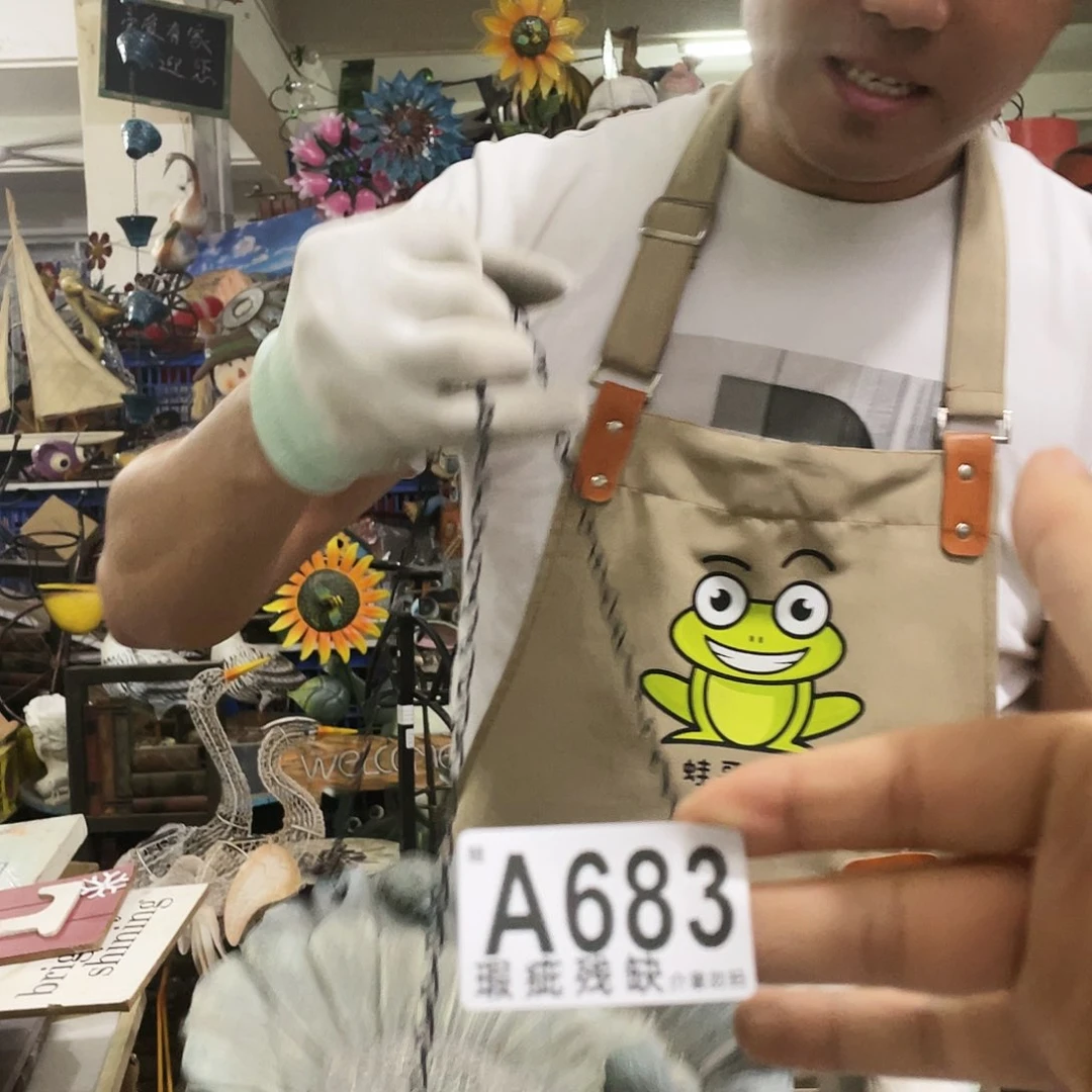 红陶蛙哥庭院中古