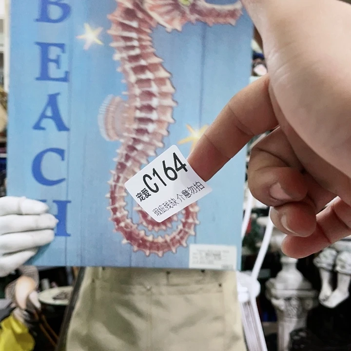 红陶20CM（含）-50CM（不含）