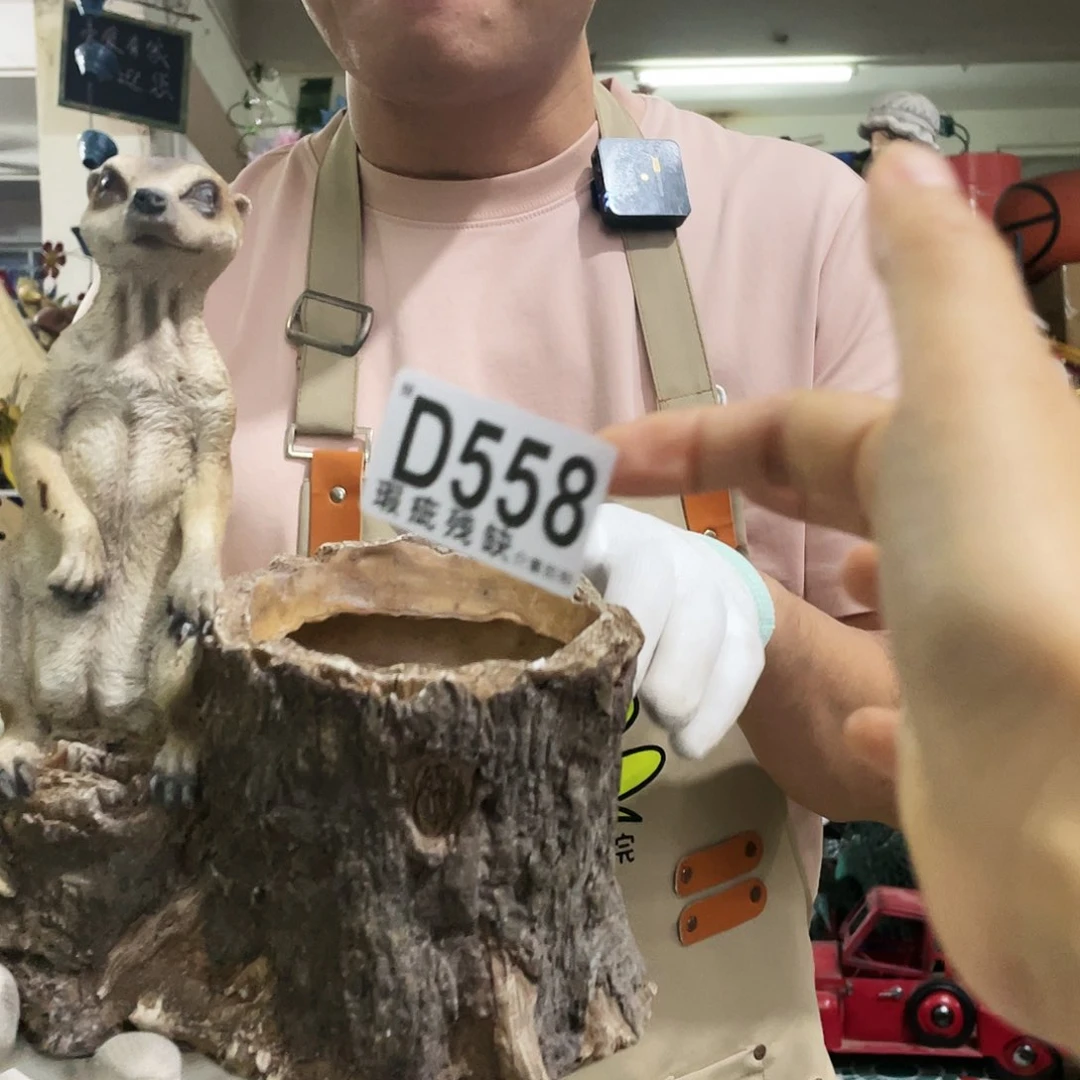 红陶蛙哥庭院中古