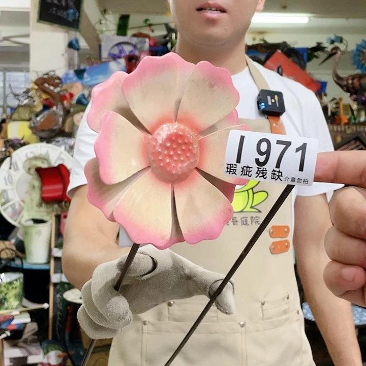 红陶20CM(含)-50CM(不含)