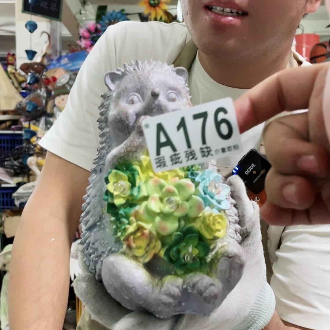 红陶20CM（含）-50CM（不含）