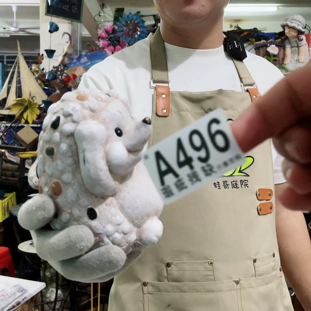 红陶20CM（含）-50CM（不含）