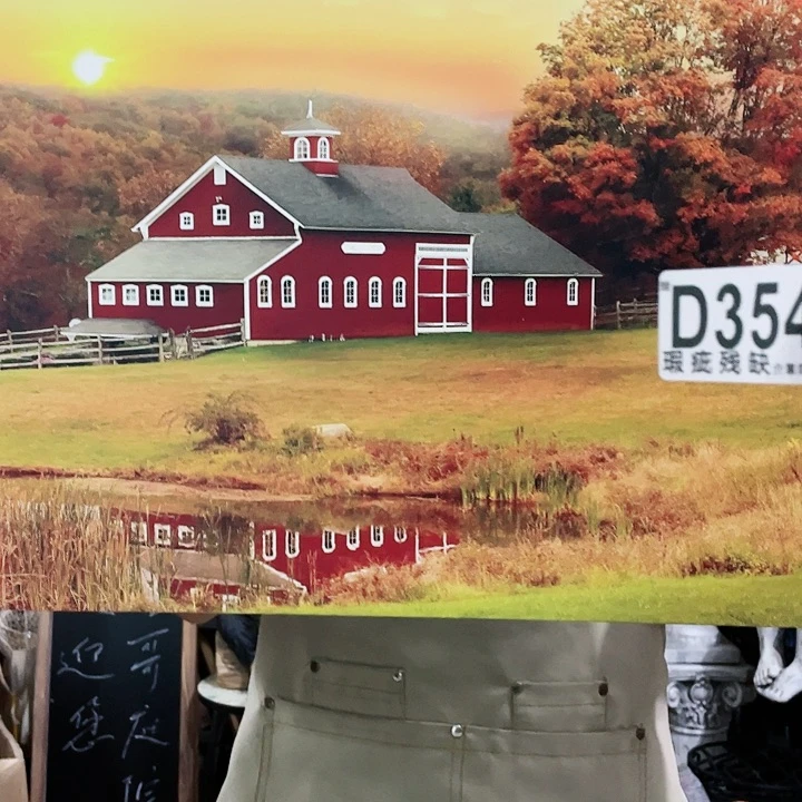 红陶20CM（含）-50CM（不含）