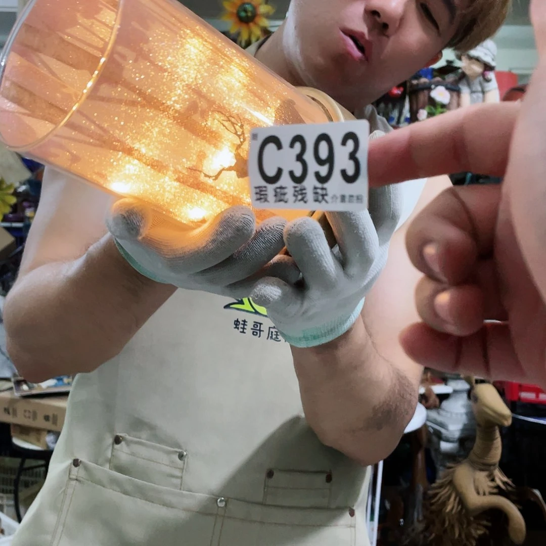 红陶20CM（含）-50CM（不含）